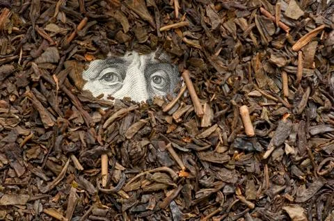 Tea on bank note Stock Photos