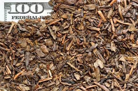 Tea on bank note Stock Photos