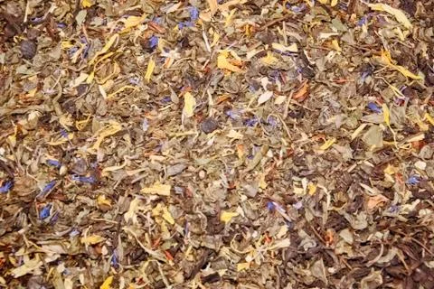 Tea black long leaf with raspberry berries, leaves of blackberry and a blue c Stock Photos