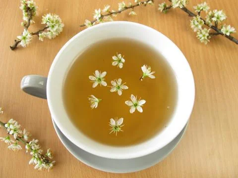 Tea with blackthorn flowers Stock Photos