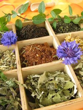 Tea box with loose tea types Stock-Fotos