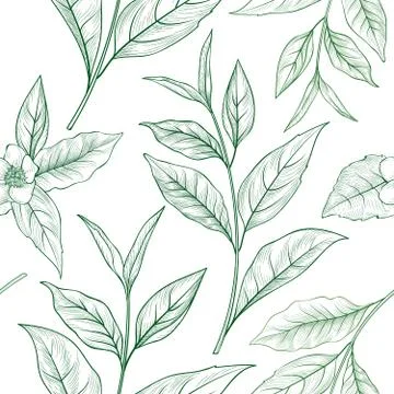Tea branch floral seamless pattern. Tea leaves background Stock Illustration