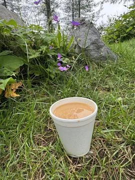 A Tea Break in Nature Stock Photos