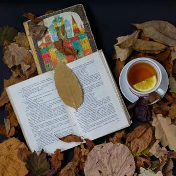 Tea break Stock Photos