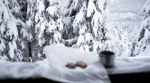 Tea break in winter forest Stock Photos