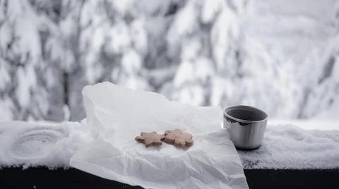 Tea break in winter forest Stock Photos