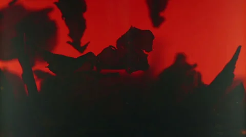 Tea brewing Stock Footage 33717267