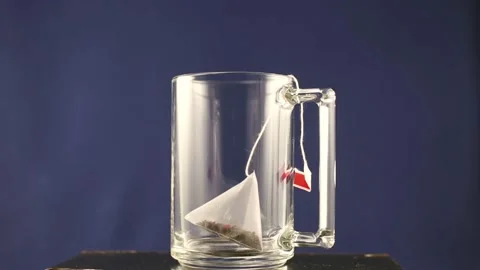 Tea brewing Stock Footage 168716258