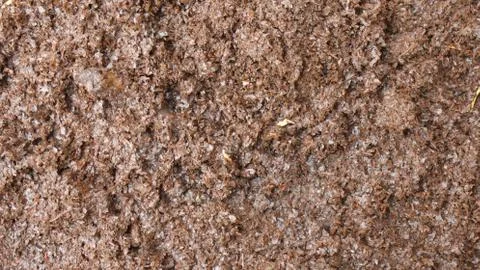 Tea brown sediment background Stock Photos