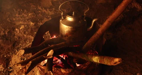 Tea Cattle on a Fire Vidéo 335433464