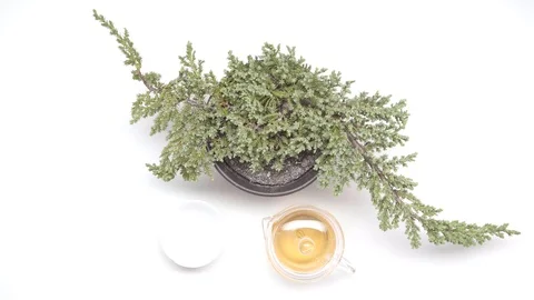 Tea ceremony 09. Stock Footage 104401921