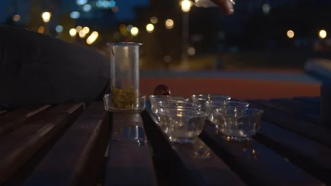 Tea ceremony in the park Video stock 112751252