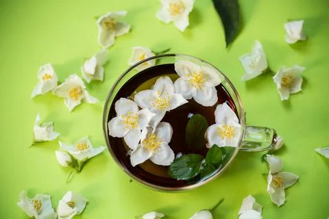 Tea composition with green tea and jasmine flowers Stock Photos