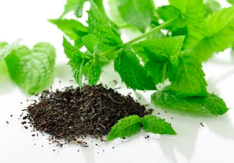 Tea composition Stock Photos