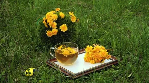 Tea concept in a green clearing. Stock Footage 194805762