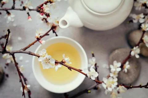 Tea concept Stock Photos