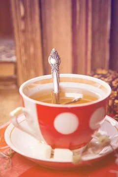 Tea with cookies Stock Photos