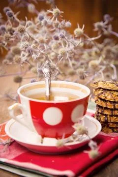 Tea with cookies Stock Photos