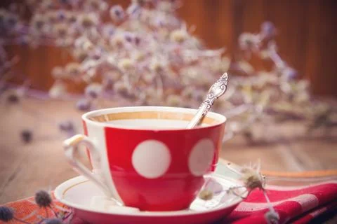 Tea with cookies Stock Photos