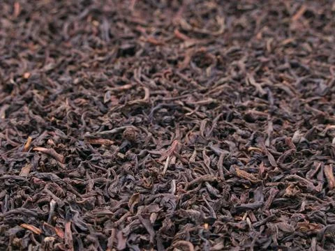 Tea crop Stock Photos