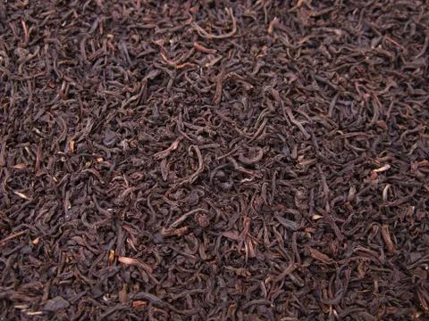 Tea crop Stock Photos