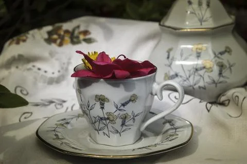 Tea cup with flowers inside, for refreshments in the garden Stock Photos