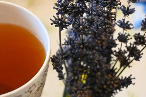 Tea cup with lavender sprigs Stockfoto's