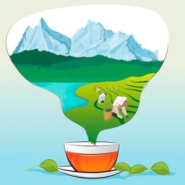 Tea cup with leaves and tea plantations in form of steam Stock Illustration
