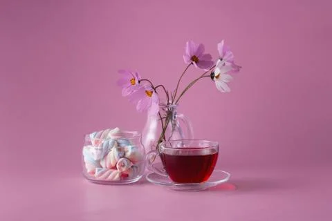 Tea cup with marshmallow Stock Photos