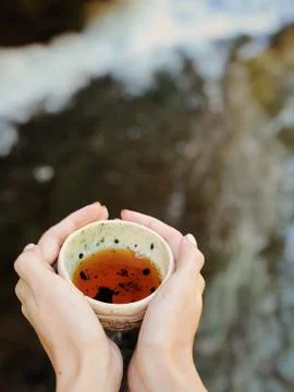 Tea cup Stock Photos