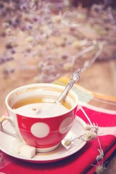 Tea in cup Stock Photos