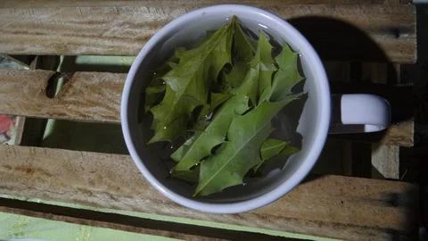 A tea cup. Tea leaves. Making tea. Tea ingredients Fotos de archivo
