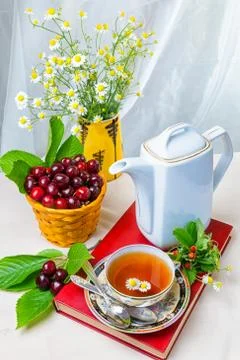 Tea, Cup of tea, various kinds of tea, tea on the table Stock Photos