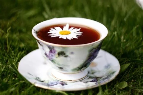 Tea with daisy Foto stock