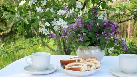 Tea drinking in the garden in spring against the backdrop of flowering trees Stock Footage 169380325