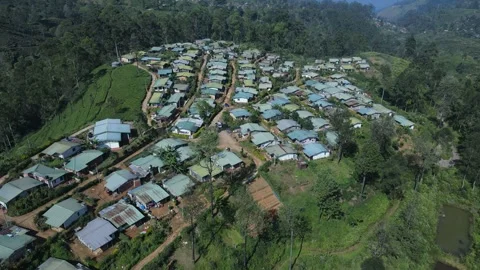 Tea estate housing project Stock Footage 296930900