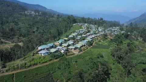 Tea estate housing for workers Stock Footage 296930896