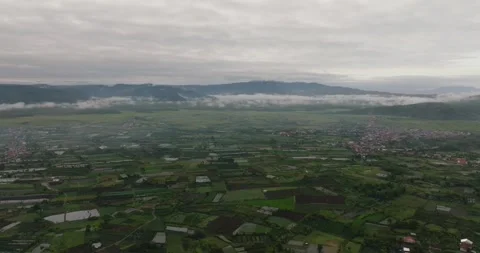 Tea estates in the highlands. Kayu Aro, Sumatra, Indonesia. Stock Footage 345395942