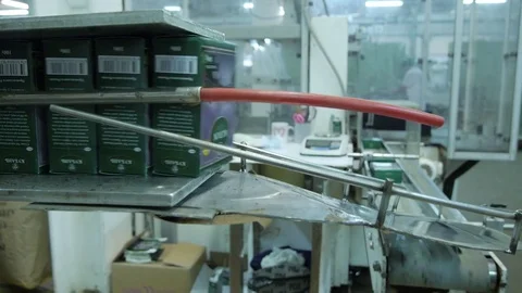 Tea factory, automated tea packing line Stock Footage 75476983