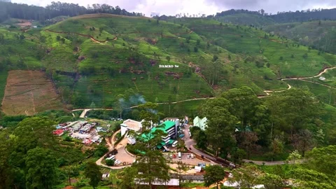 Tea Factory Complex Beneath Damro Hillside Plantation Sign, Sri Lanka Video stock 337245034