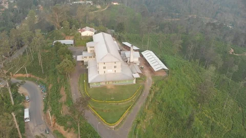 Tea Factory drone view in 4k Stockbeeldmateriaal 100868584