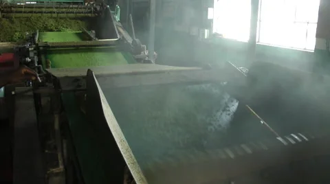 Tea Factory, leaves moving down the production line Stock Footage 52848426