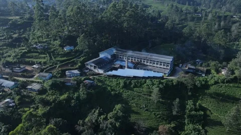 Tea factory with solar panels - drone orbit Stock Footage 296930749