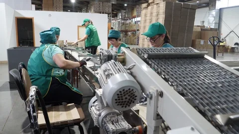 Tea factory workers are engaged in the packaging of tea Stock Footage 127470425