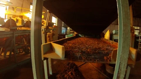 Tea is falling on a pile from sifting shaked machine workshop in old factory Stock Footage 98758382