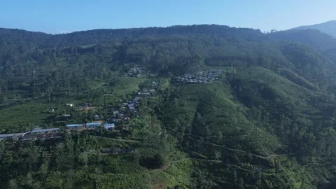 Tea fields and estate worker hosuing Stock Footage 296930735