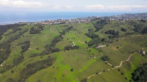 Tea Fields and Sea Landscape 動画素材 334599937