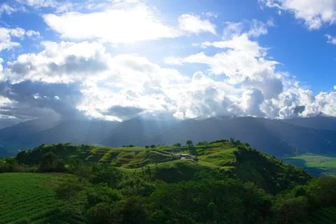 Tea fields on the hill. Sunlight fell from the gap in the clouds to the ground. Stock Photos