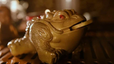 Tea figurine money toad Vidéo 74449945