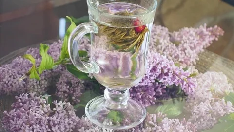 Tea flower in glass Stock Footage 91849432